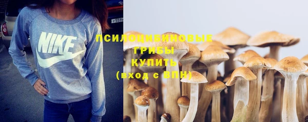 mdpv Верхний Тагил