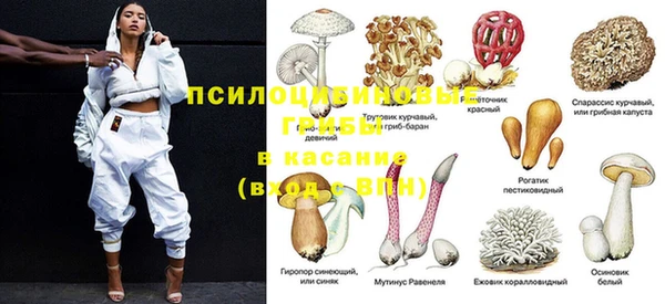 экстази Бородино